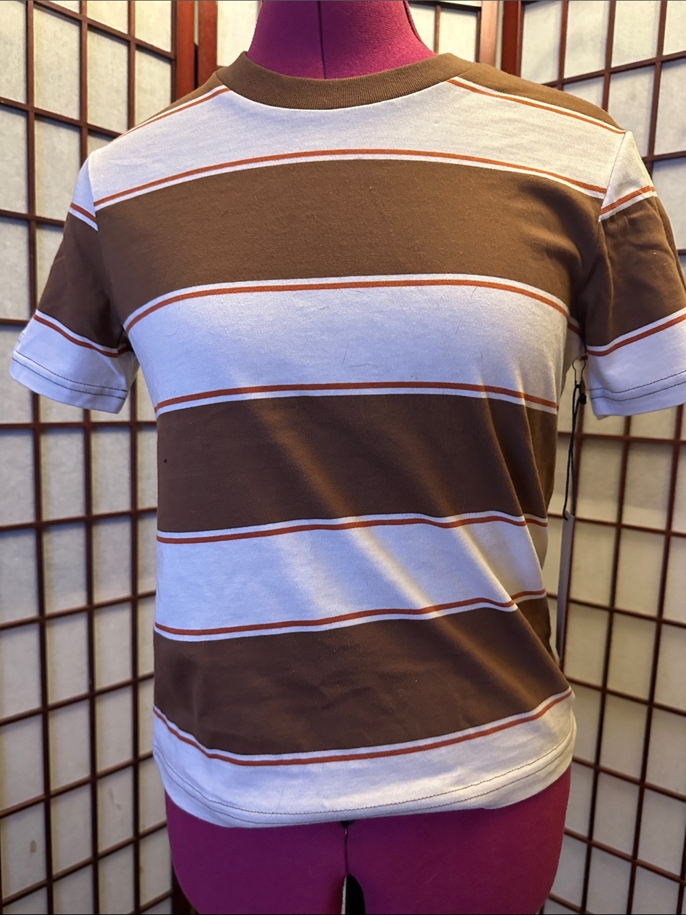 Birdwell Short-Sleeve Striped Tee in Brown & White